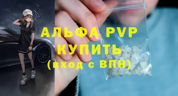 стаф Каменногорск