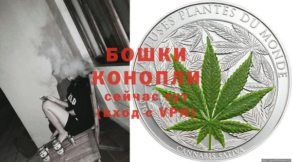 стаф Каменногорск