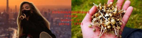 прущая мука Каменск-Шахтинский