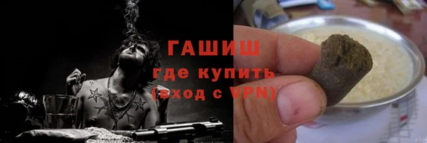 стаф Каменногорск