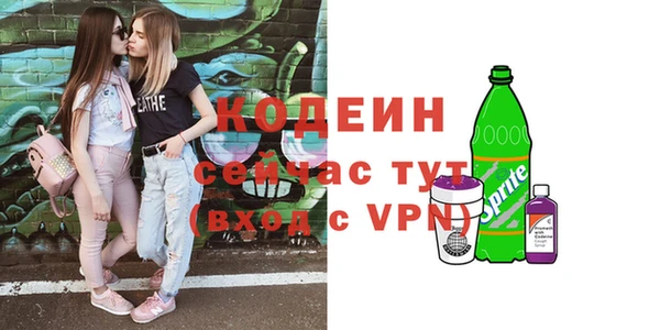 стаф Каменногорск