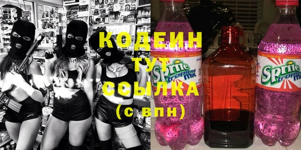 стаф Каменногорск
